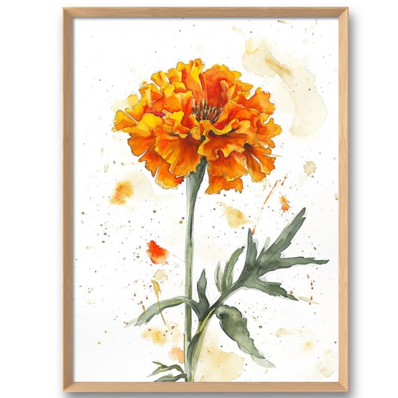 Marigold Art Print Floral Wall Watercolor Style Orange Flowers Large Poster Botanical Decor