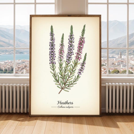 Heather Flower Poster Vintage Botanical Watercolor Art Print