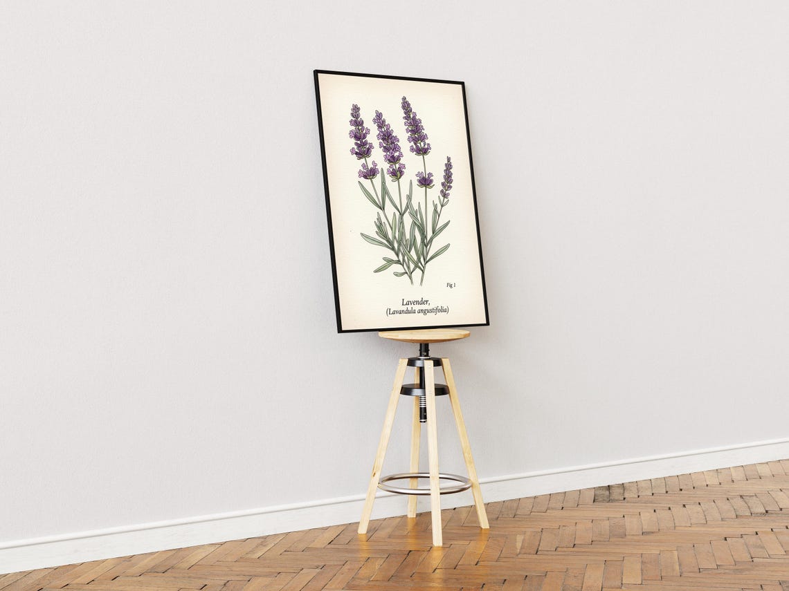 Lavender Botanical Print Vintage Floral Nature Illustration