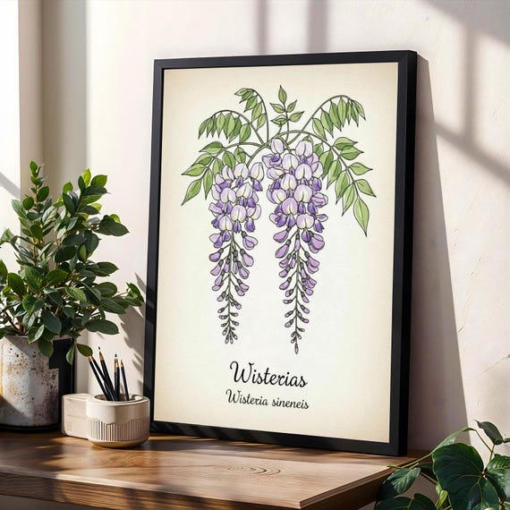 Wisteria Blooms Poster Purple And Green Botanical Art Print Vintage Watercolor Ink Outlines Naturalistic Flower Decor