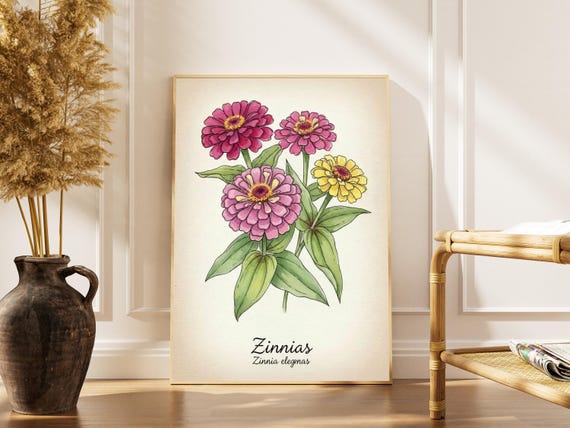 Vintage Zinnia Flower Print Botanical Watercolor Illustration