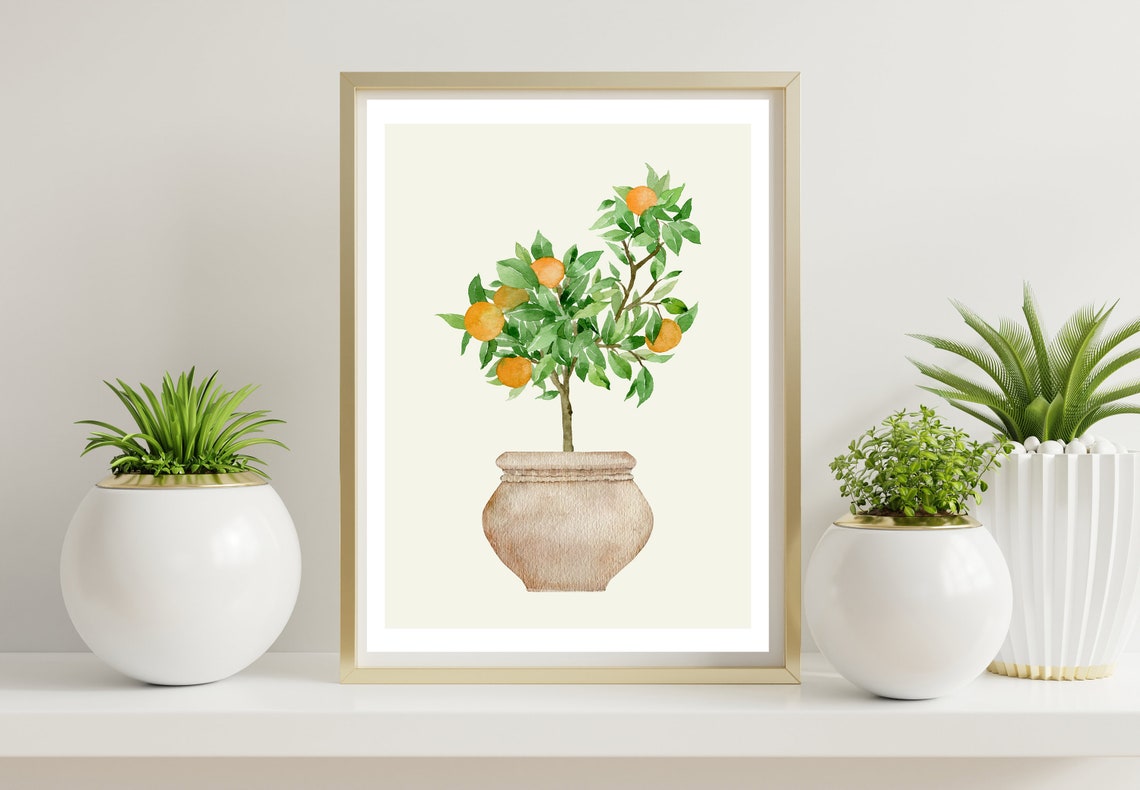 Potted Orange Tree Watercolor Botanical Citrus Kitchen Poster - Image 2