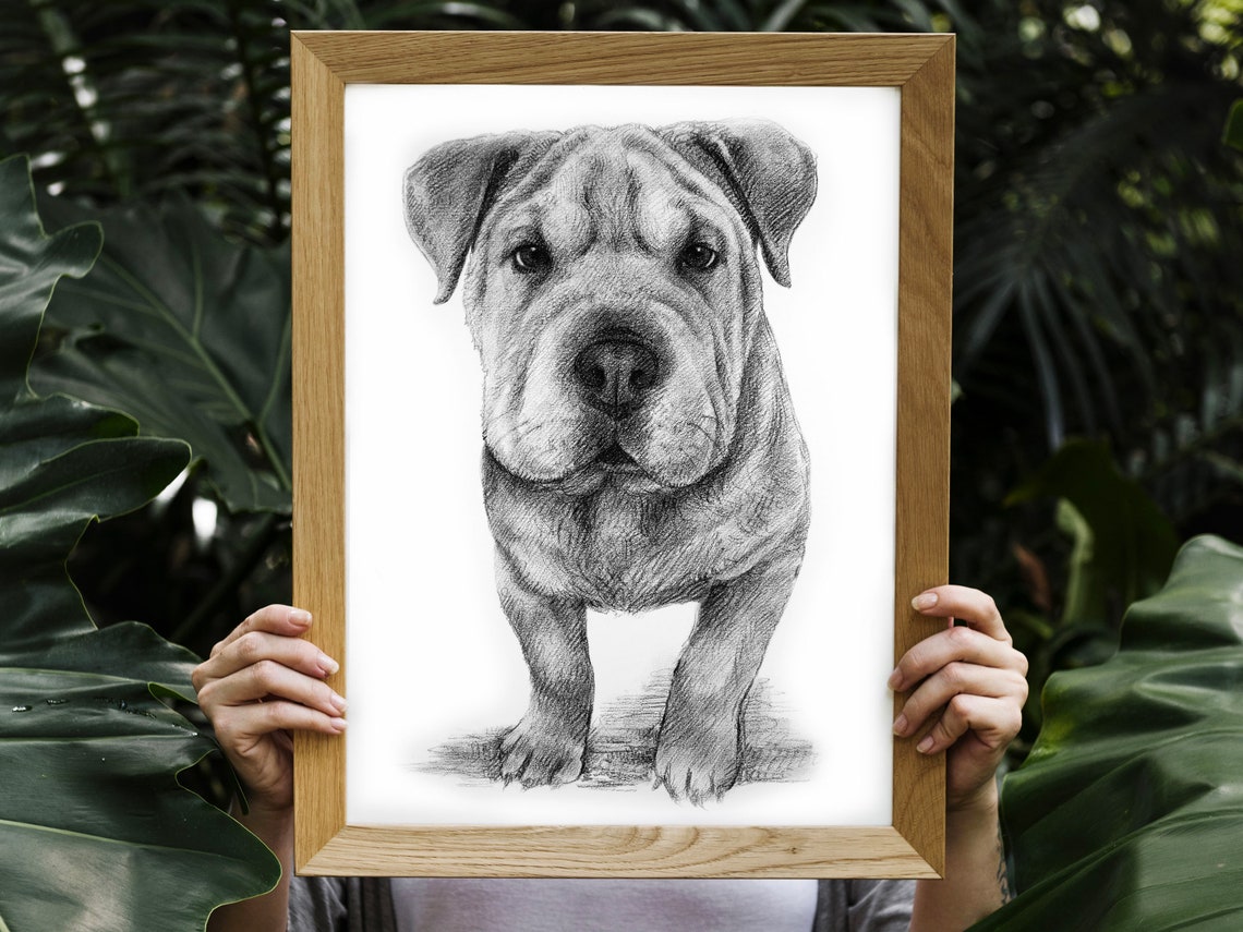 Custom Dog Drawing - Charcoal Style - Image 4