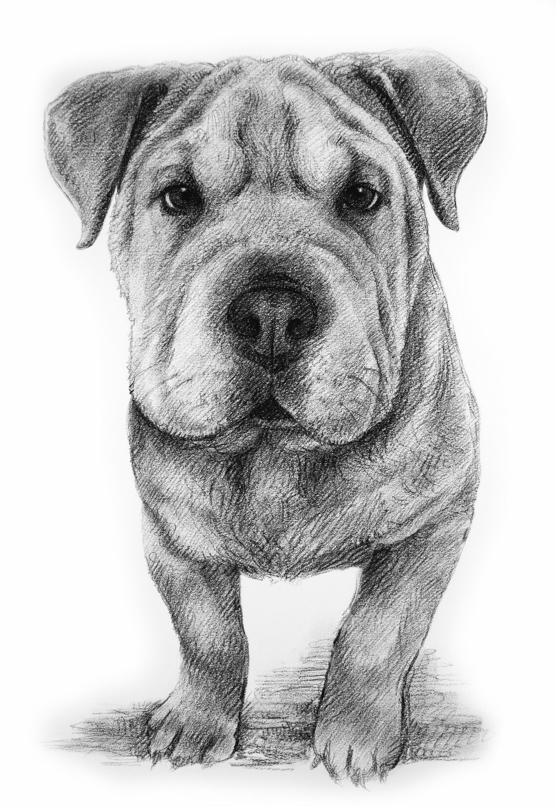 Two Dog Friends Custom Pet Portrait Charcoal Pencil Sketch Poster - Image 2
