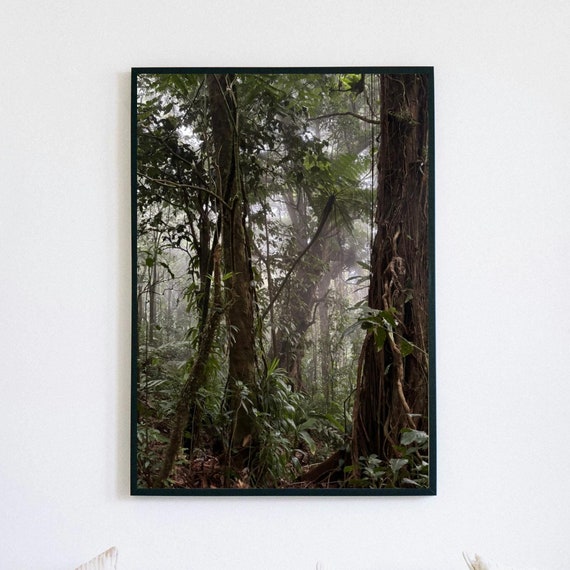 Guadeloupe Jungle Fine Art Photography Lush Tropical Forest Wall Art Nature Landscape Print For Home Decor Instant