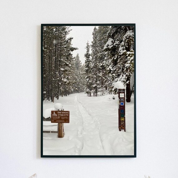 Snowy Forest Trail With Fat Biking Sign Winter Wonderland Photo Poster