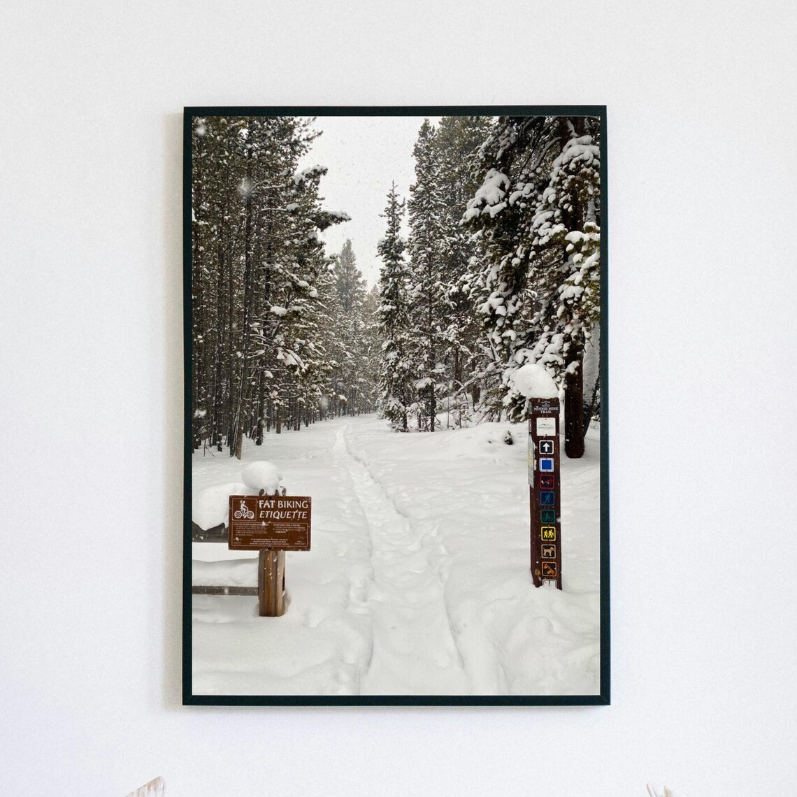 Snowy Forest Trail With Fat Biking Sign Winter Wonderland Photo Poster