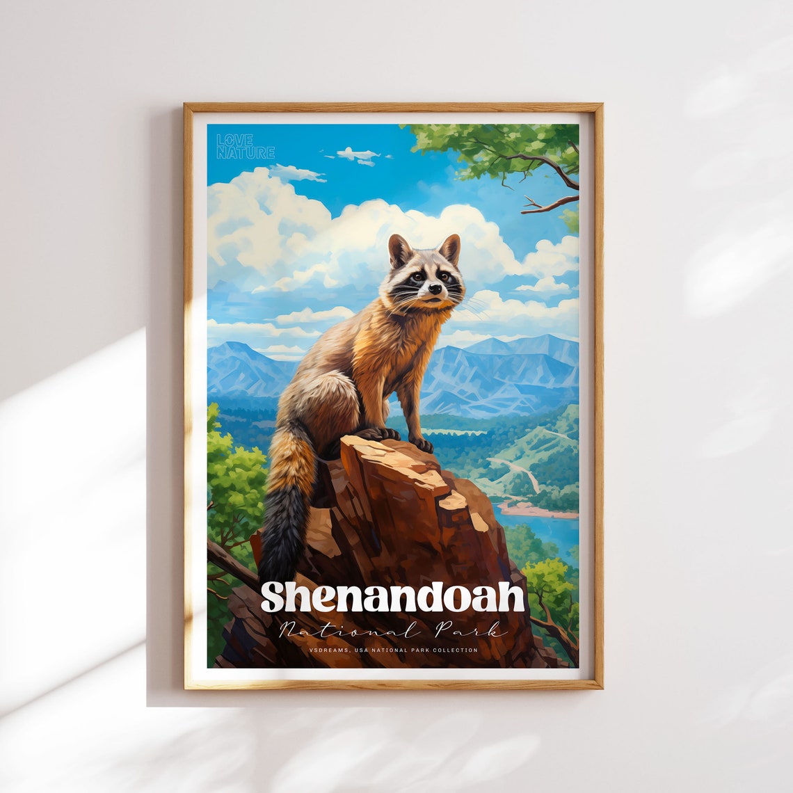 Shenandoah National Park Raccoon On Rock Mountain Valley Poster