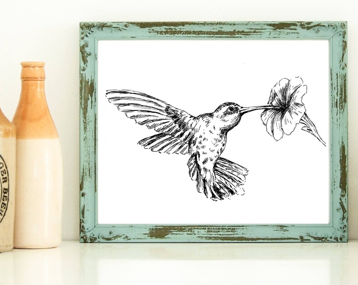 Black White Hummingbird Art Print, Nature Bird Drawing