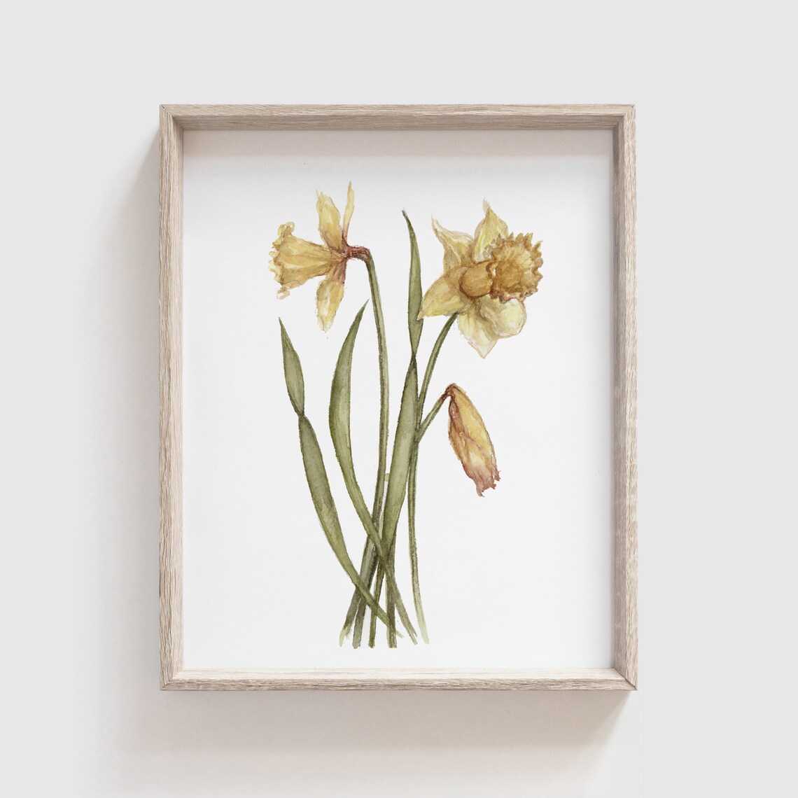 Daffodil Flower Watercolor Art Print, Floral Home Decor
