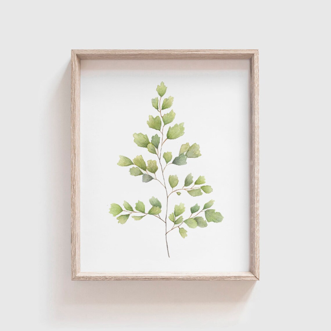 Fern No 1 Watercolor Art Print, Maidenhair Fern