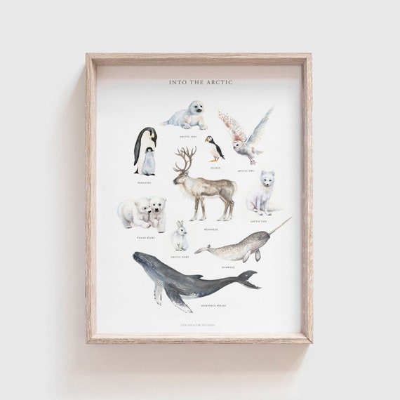 Into The Arctic Animal Poster, Farmhouse Nursery Art Print