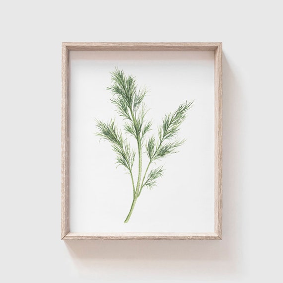 Dill Watercolor Herb Art Print, Kitchen Decor