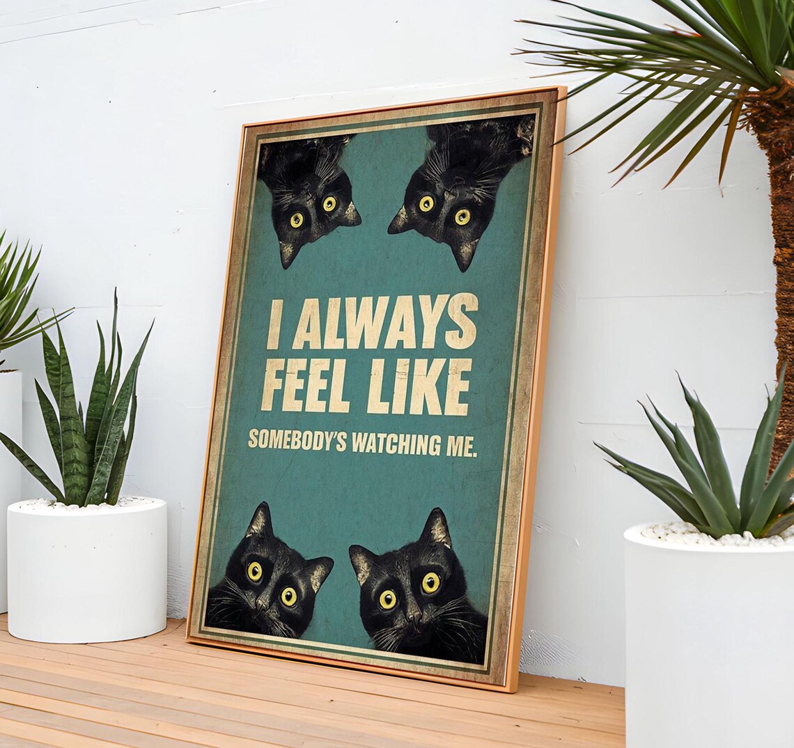 Funny Cats, I Always Feel Like Somebody's Watching Me - Image 7