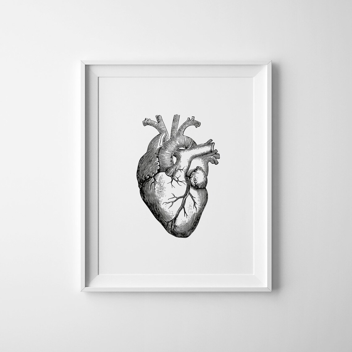 Anatomical Heart Vintage Medical Art Print - Image 2