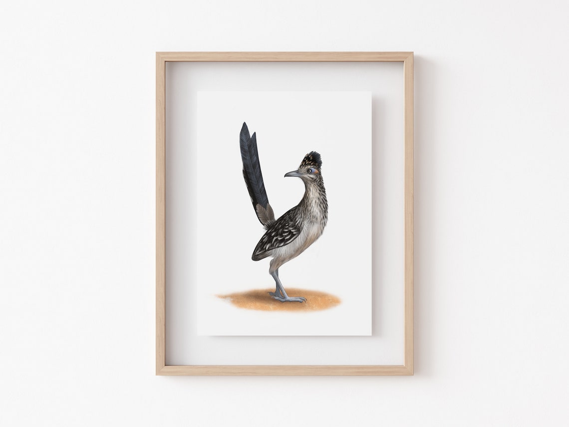 Roadrunner with Raised Long Tail Desert Bird Illustration Poster - Image 2