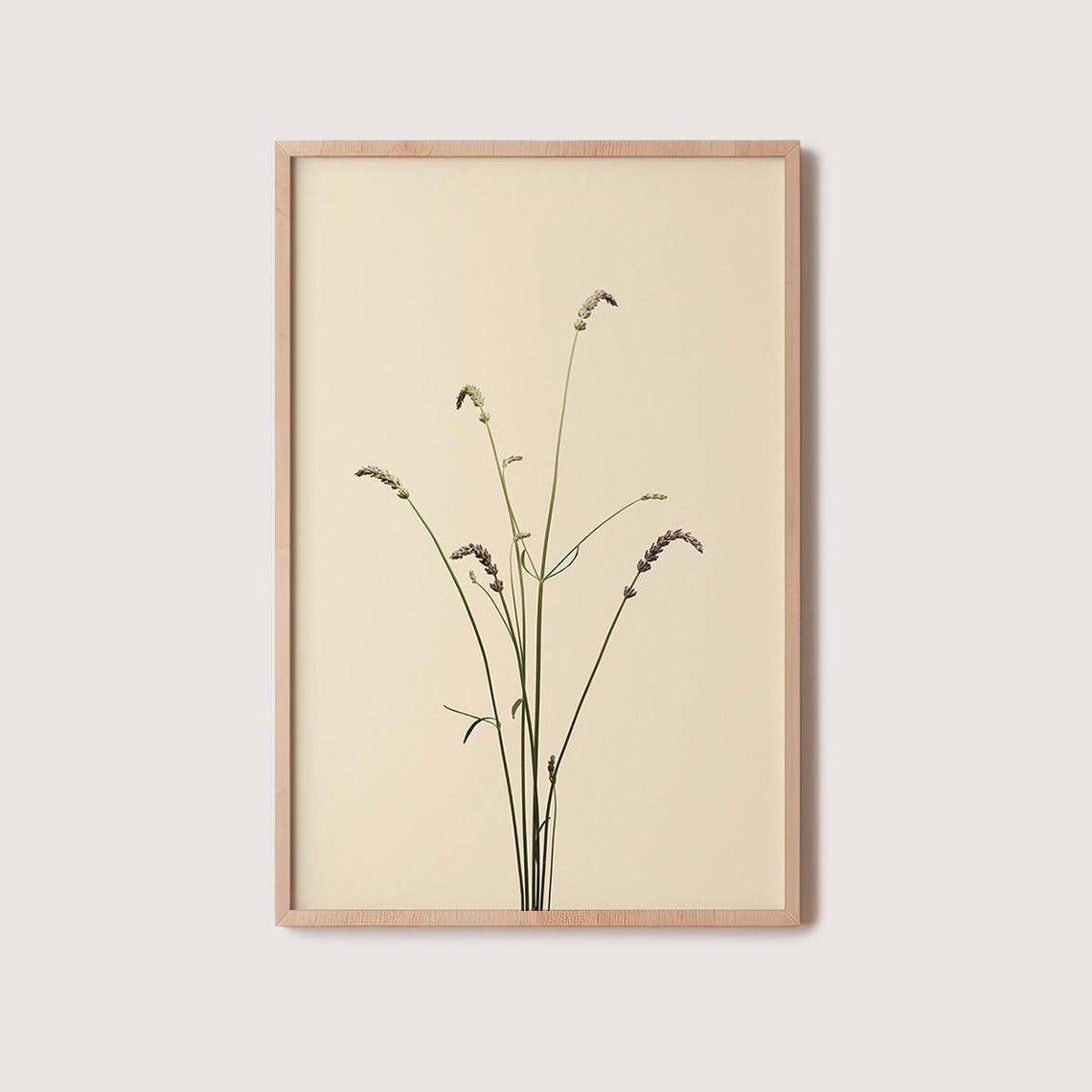 Wild Lavender Stems Cream Background Minimalist Botanical Photo Poster