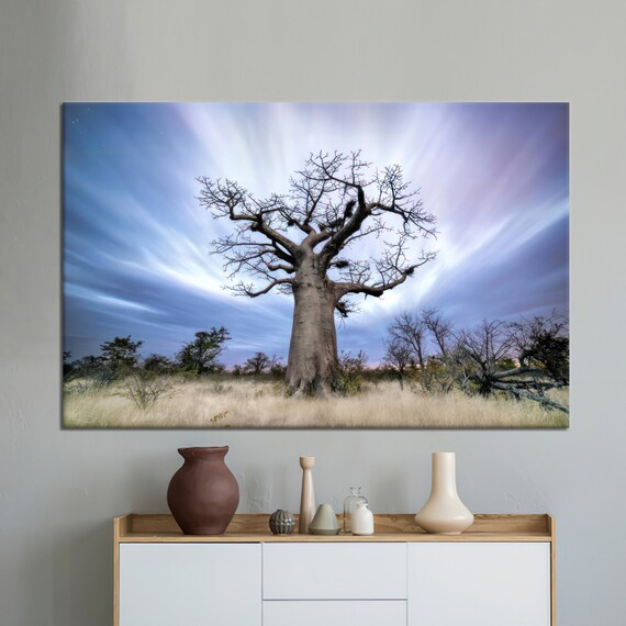 Majestic Baobab Tree In African Savanna Under Dramatic Sky Wall Art
