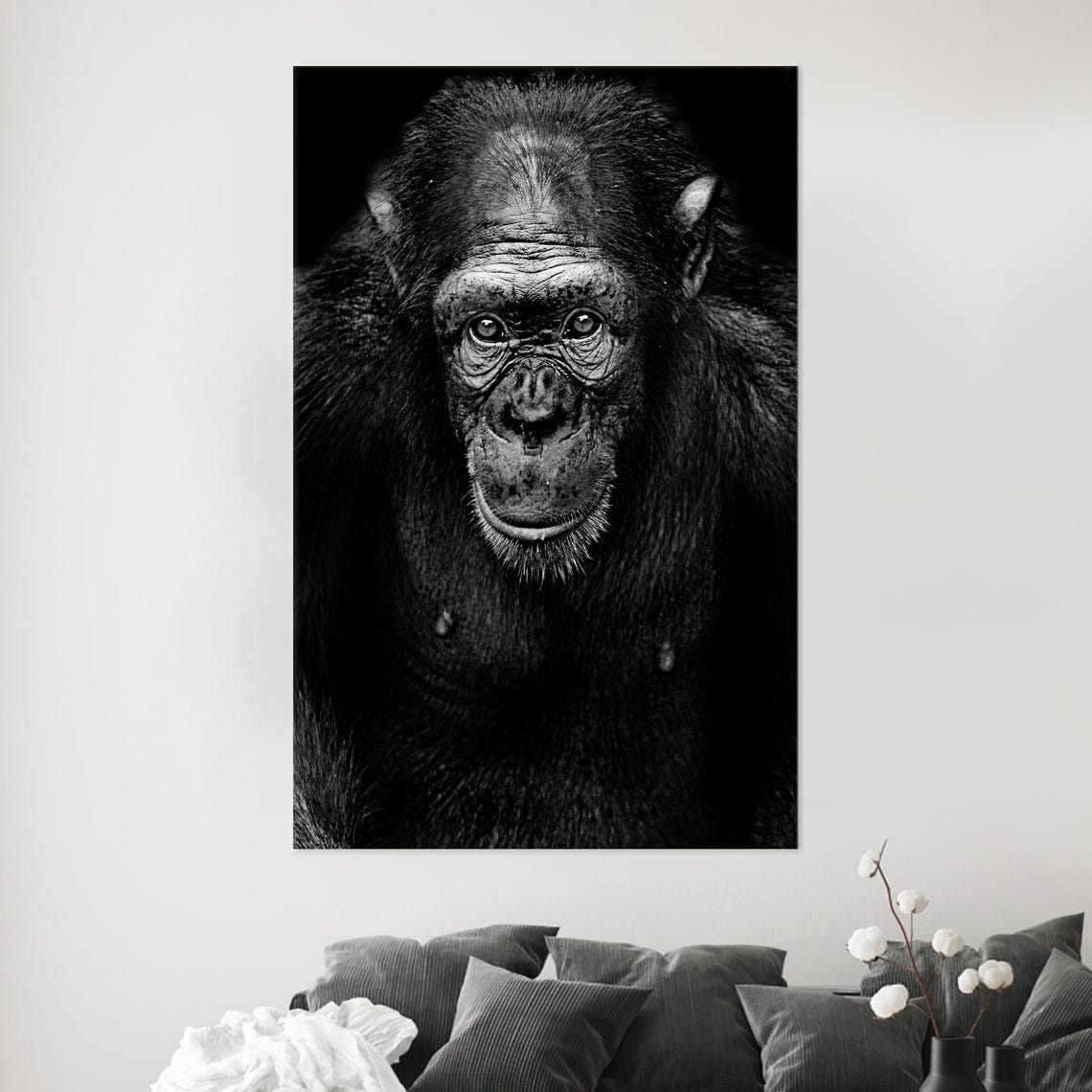 Black And White Chimpanzee Portrait Dramatic Wildlife Art Poster