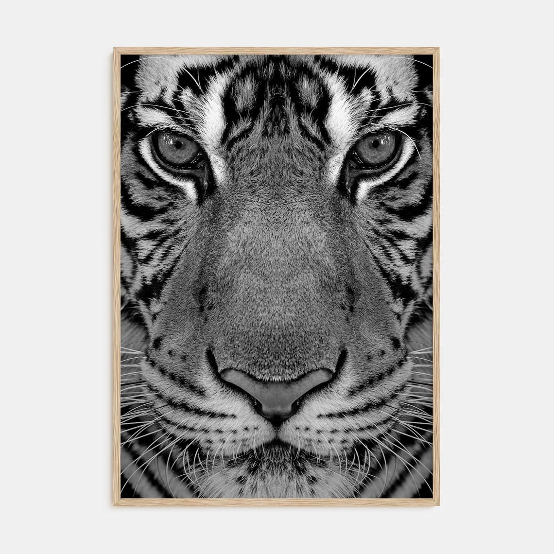 Black and White Tiger Face Close-Up Dramatic Wildlife Poster