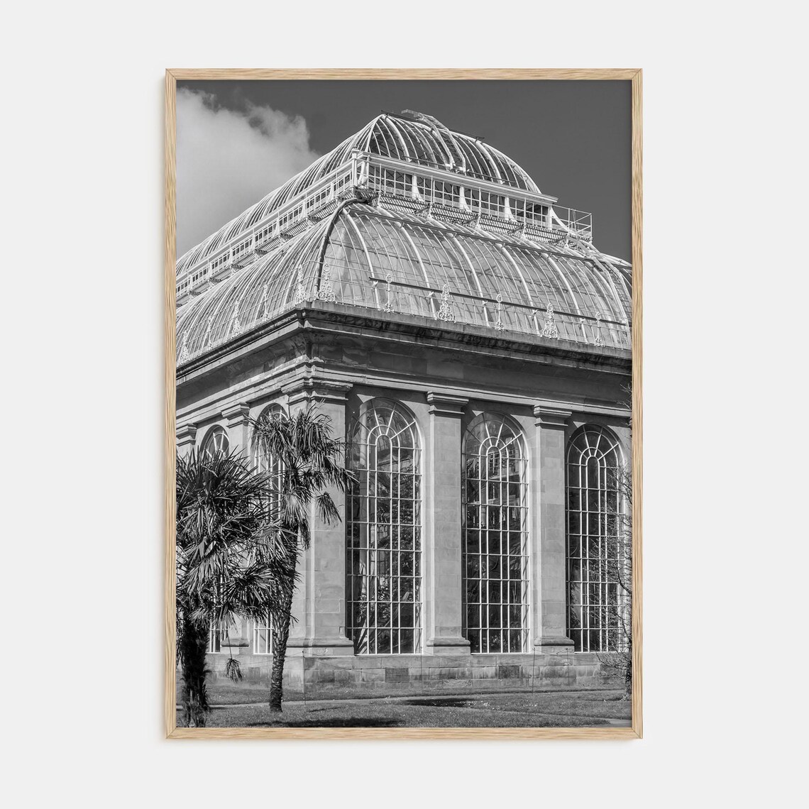 Victorian Palm House Glasshouse Black and White Architecture Poster