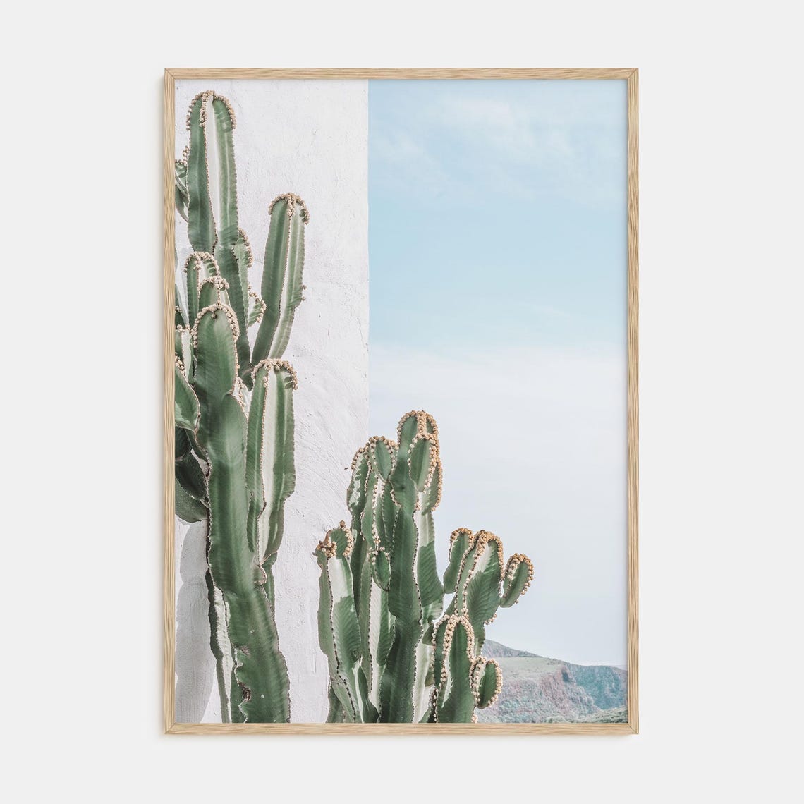 Columnar Cactus White Wall Bright Blue Sky Desert Scene Poster