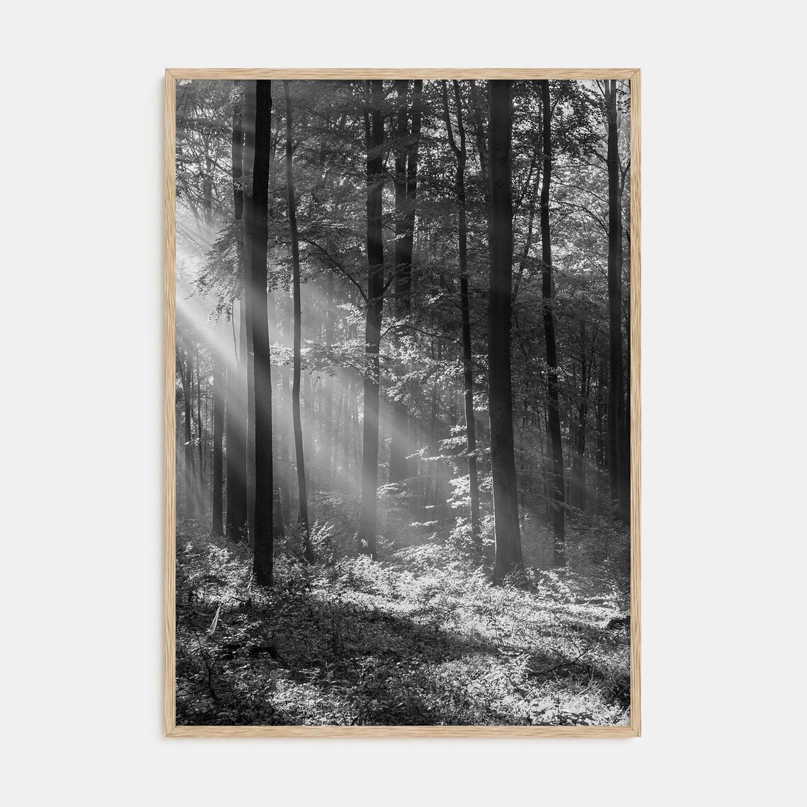 Forest Black White Photography Art Print, Botanical Decor