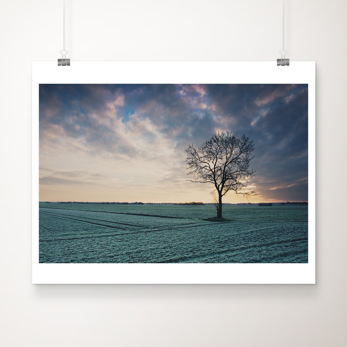 Lone Winter Tree Frosty Field Sunrise Landscape Photo Art Poster