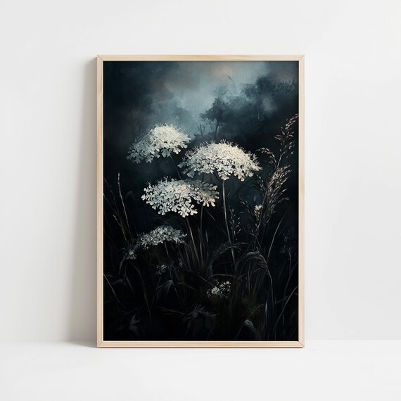 White Queen Annes Lace Misty Dark Meadow Botanical Art Print