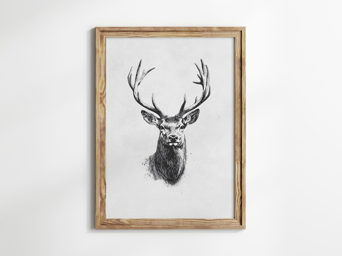 Vintage Stag Head Sketch Antler Ink Drawing Rustic Art Poster - Image 3
