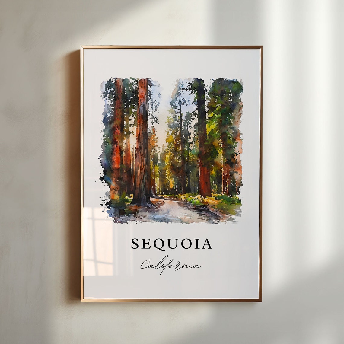 Sequoia California Redwood Forest Trail Watercolor Nature Poster