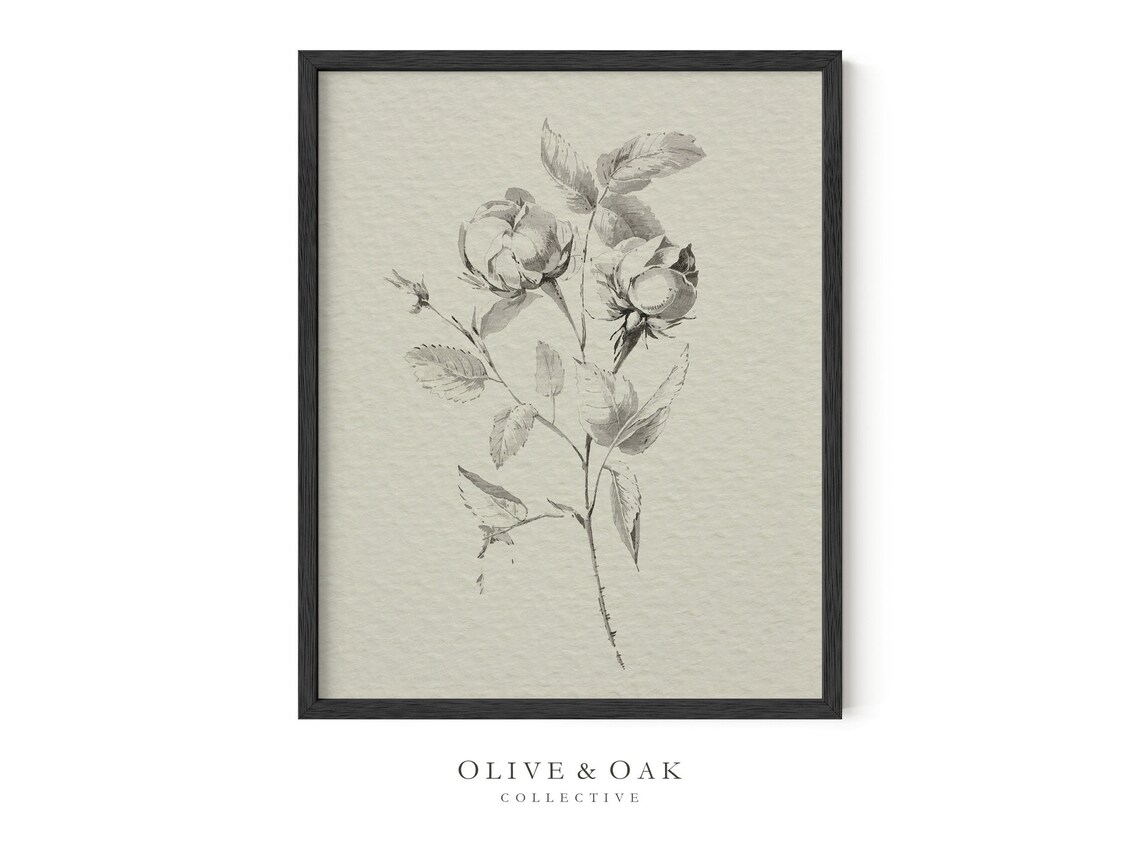 Vintage Flower Drawing, Rustic Botanical Sketch - Image 3