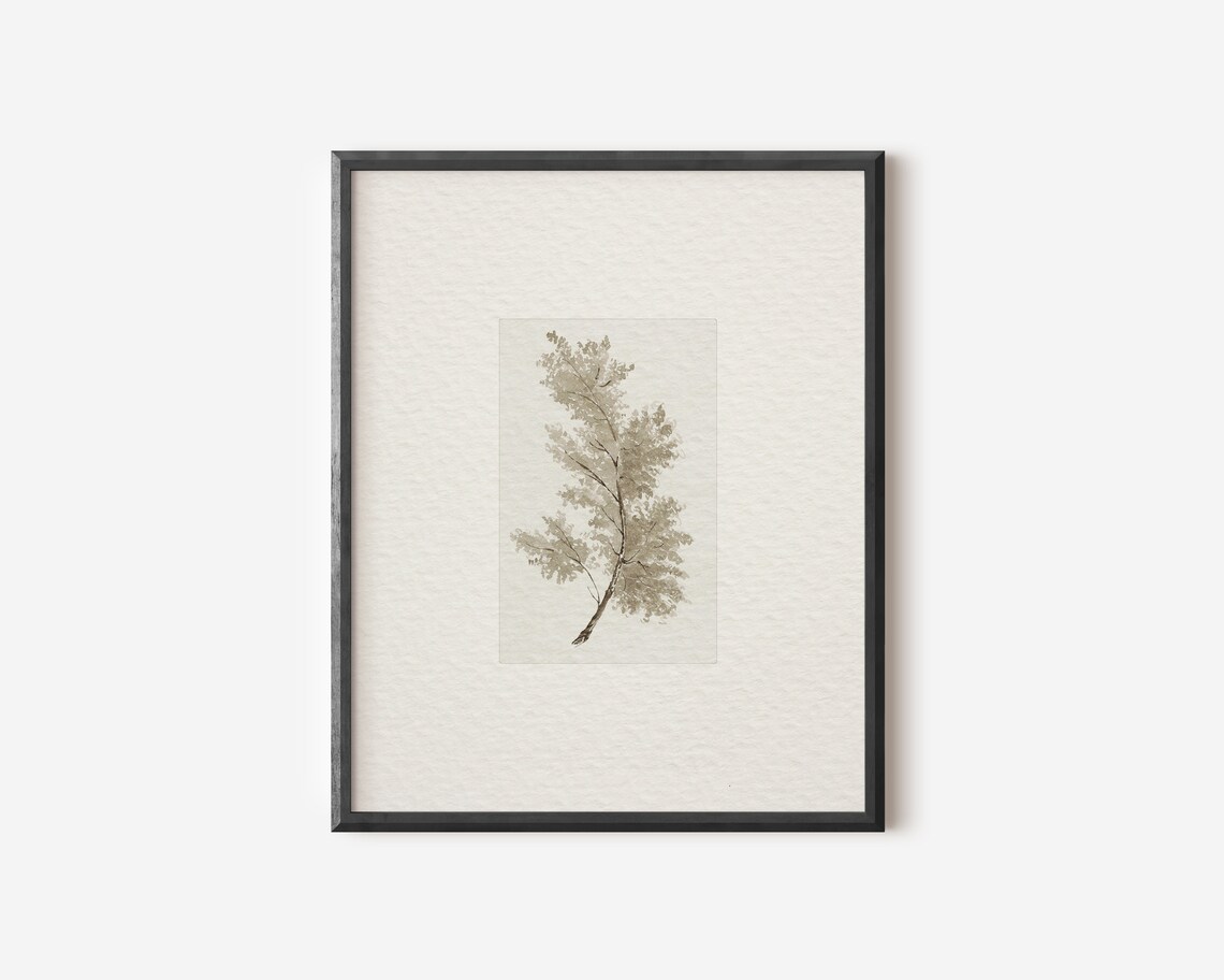 Vintage Tree Branch Drawing, Antique Botanical Art Print - Image 3