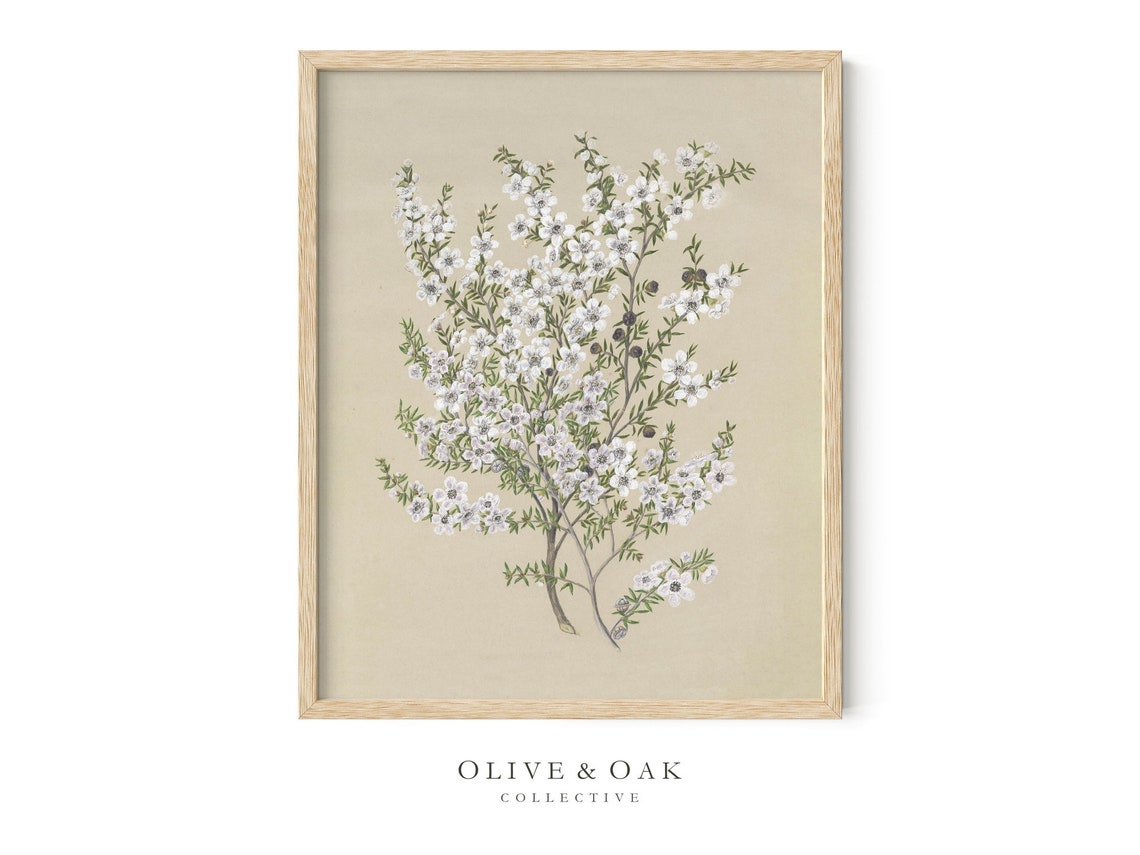 Botanical Wall Art, Vintage Flower Drawing Art Print - Image 4