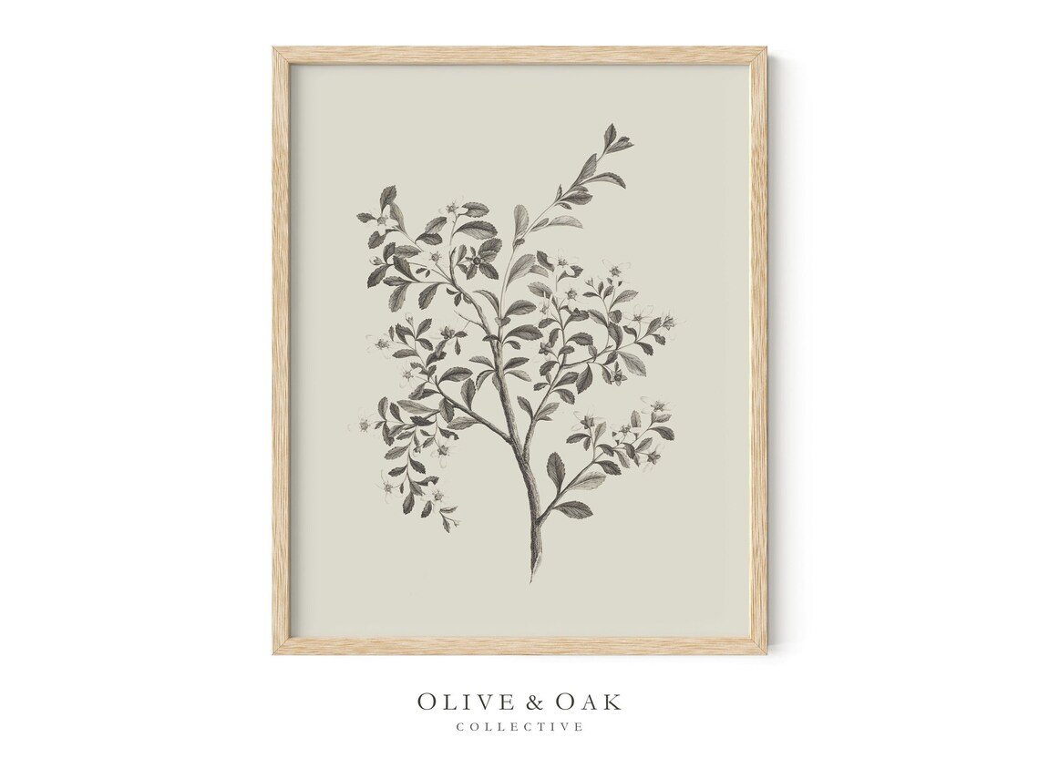 Botanical Wall Art, Simple Branch Drawing - Image 4