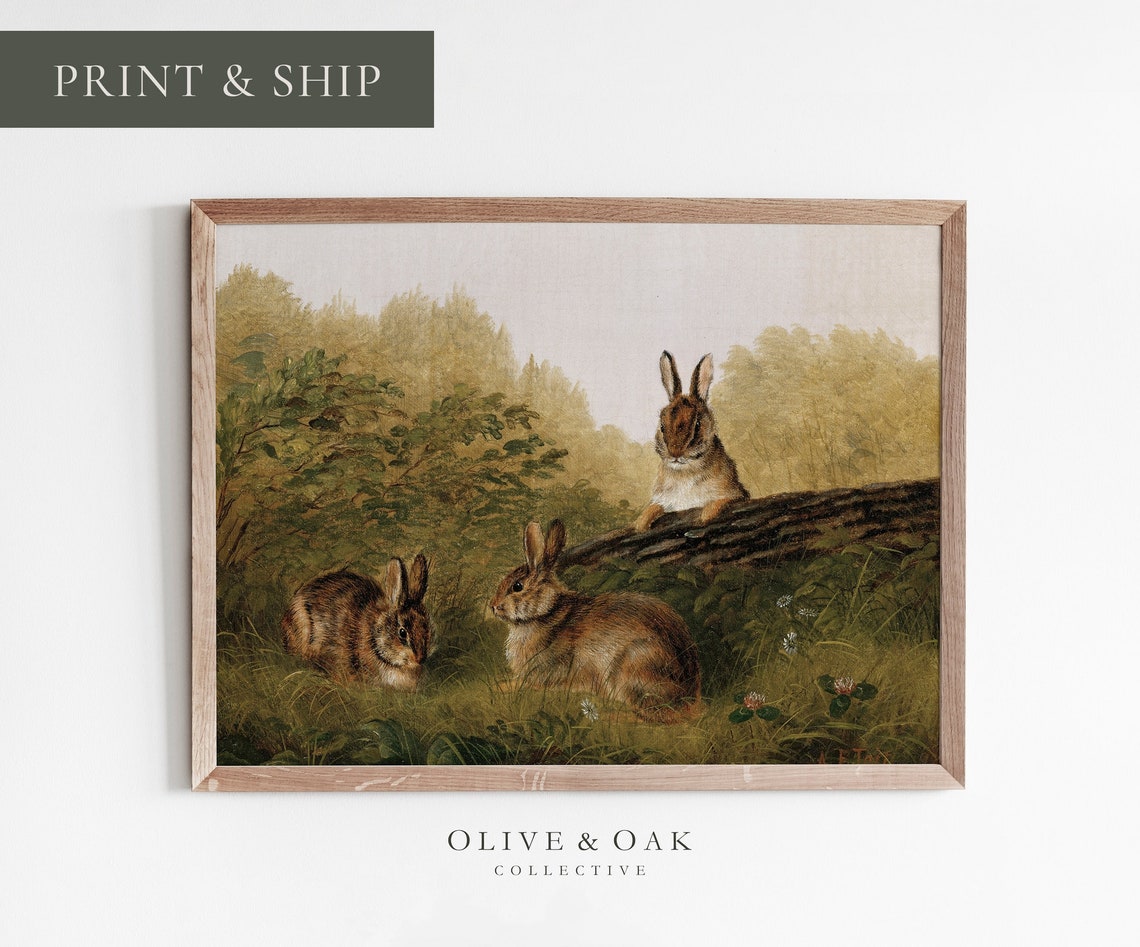 Bunny - Country Nursery Art