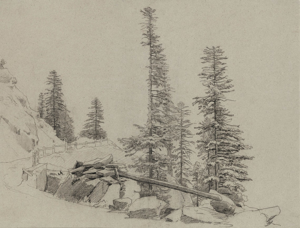 Rustic Landscape Drawing Spruce Tree Sketch Print Neutral Cabin Decor 345 - Image 4