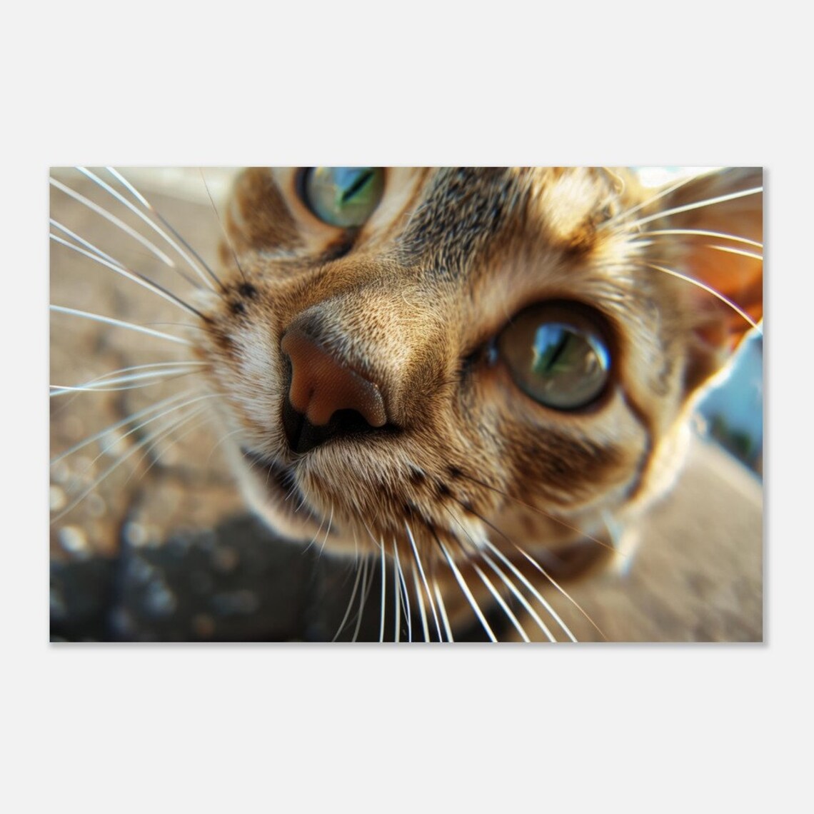 Cat Extreme Close Up Green Eyes Tabby Whiskers Funny Photo Wall Art Poster - Image 4