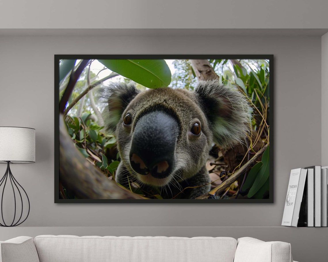 Koala Close Up Wide Angle Eucalyptus Wildlife Photography Poster