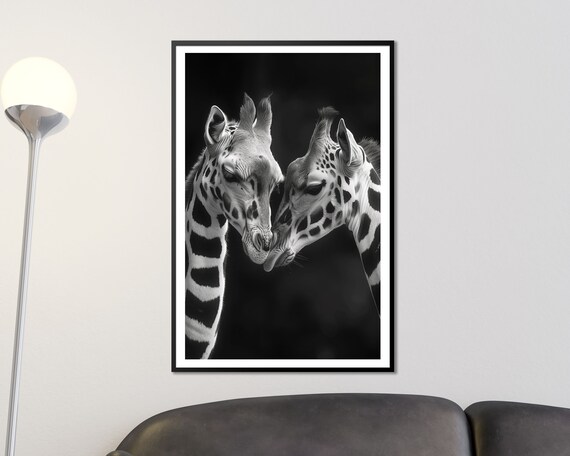 Tender Giraffe Pair Embrace Black And White Dramatic Wildlife Art Poster