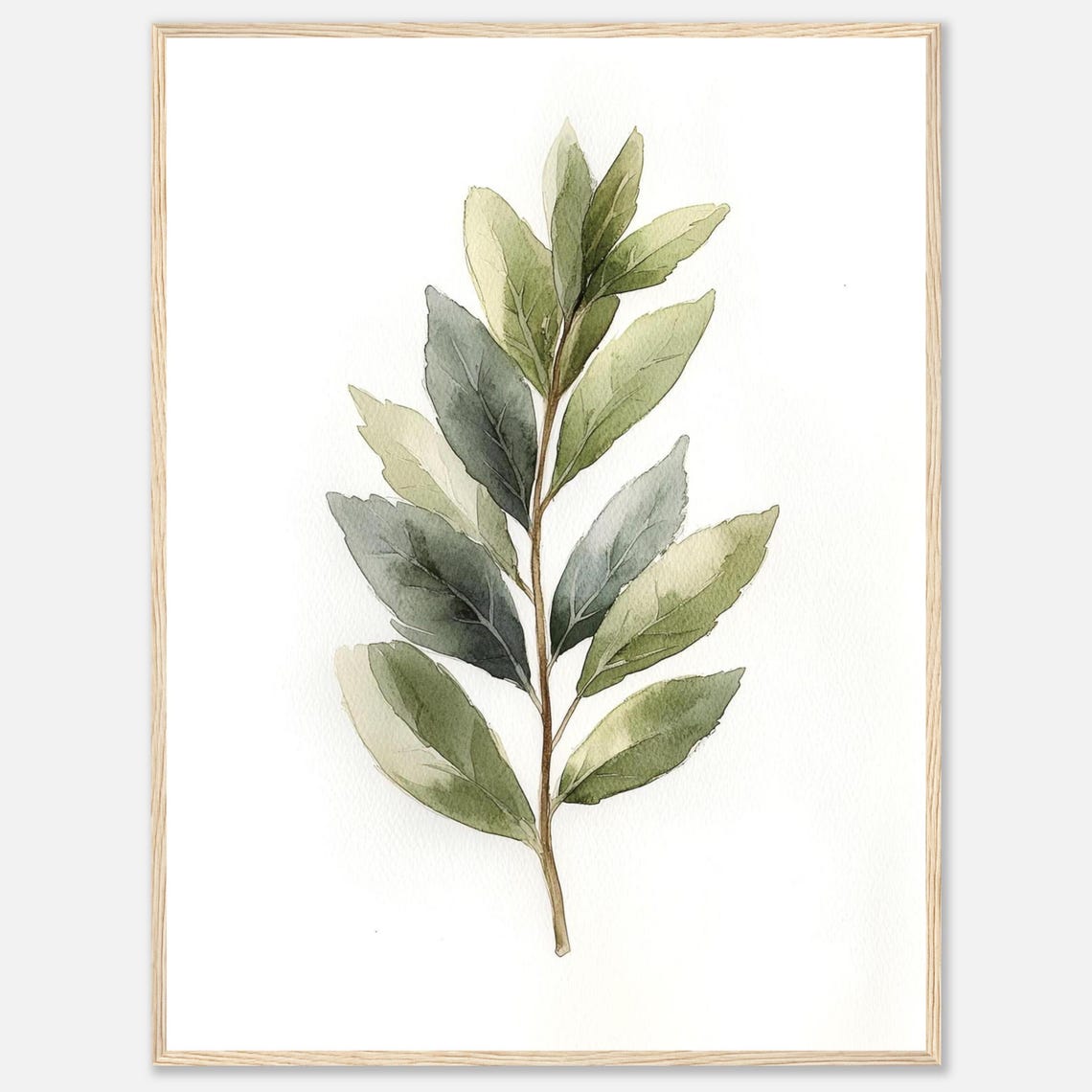 Bay Leaf Watercolor Print Herb Wall Art Green Herbs Botanical Illustration Kitchen Dining Room Food By Nataliaayuart