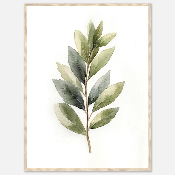 Bay Leaf Watercolor Print Herb Wall Art Green Herbs Botanical Illustration Kitchen Dining Room Food By Nataliaayuart