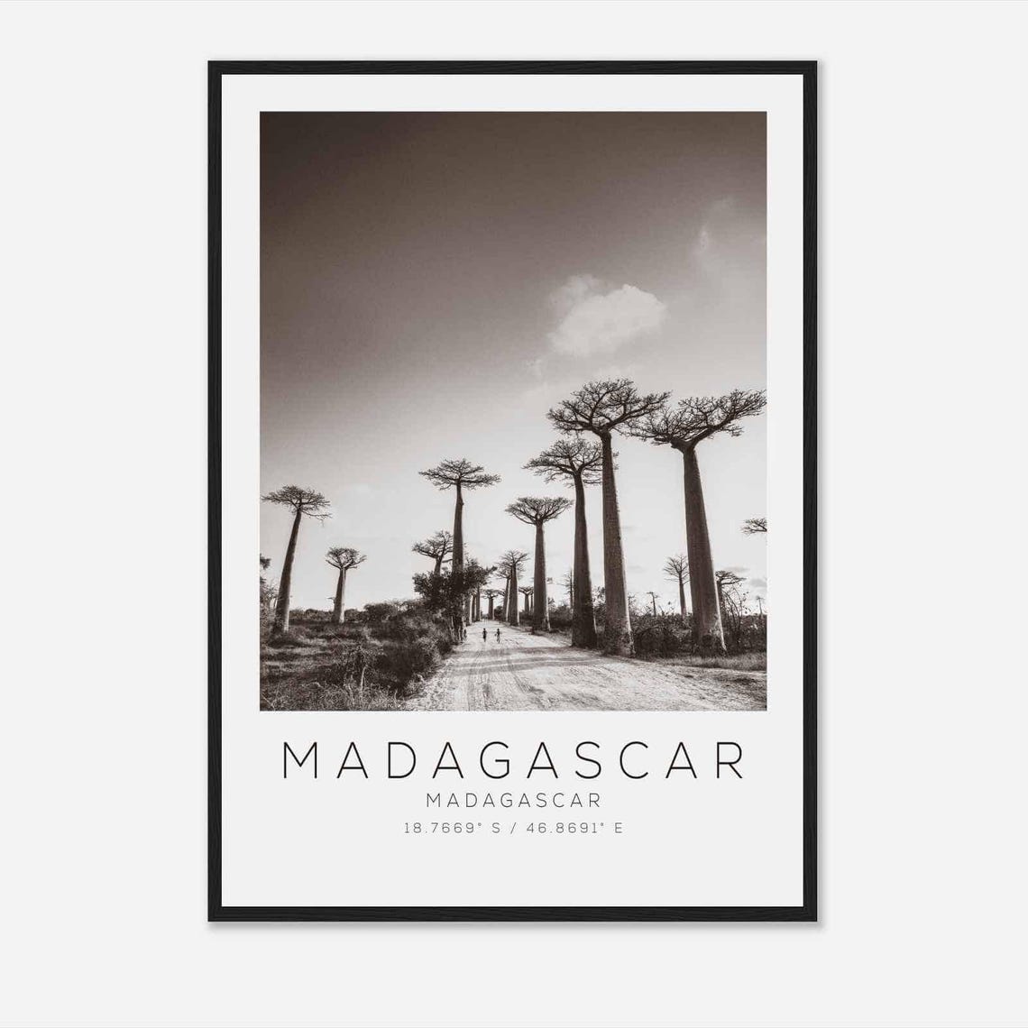 Madagascar Baobab Avenue Black and White Travel Photo Poster