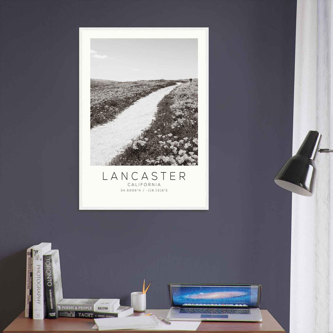 Lancaster California Wildflower Poppy Field Road Photo Poster - Image 3