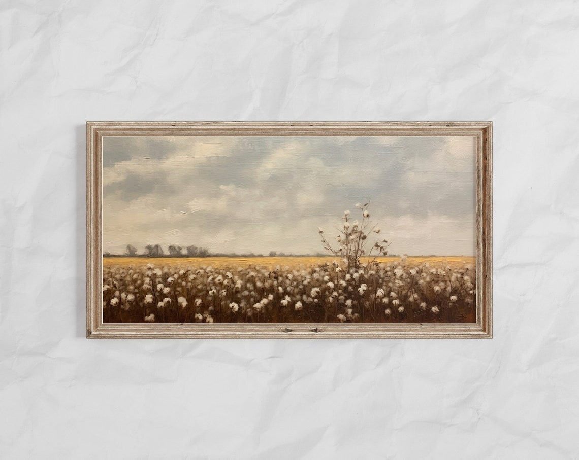 Panoramic Cotton Field At Golden Hour Under Cloudy Sky Vintage Poster