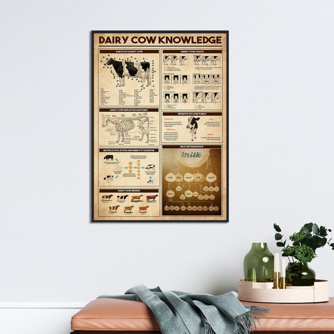 Dairy Cow Knowledge Anatomy Breeds Milk Chart Vintage Poster - Image 3