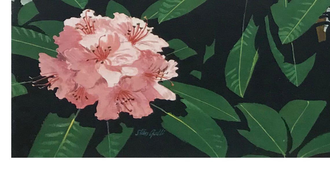 Washington State Deer Fawn Rhododendron Blooms Vintage Poster - Image 2
