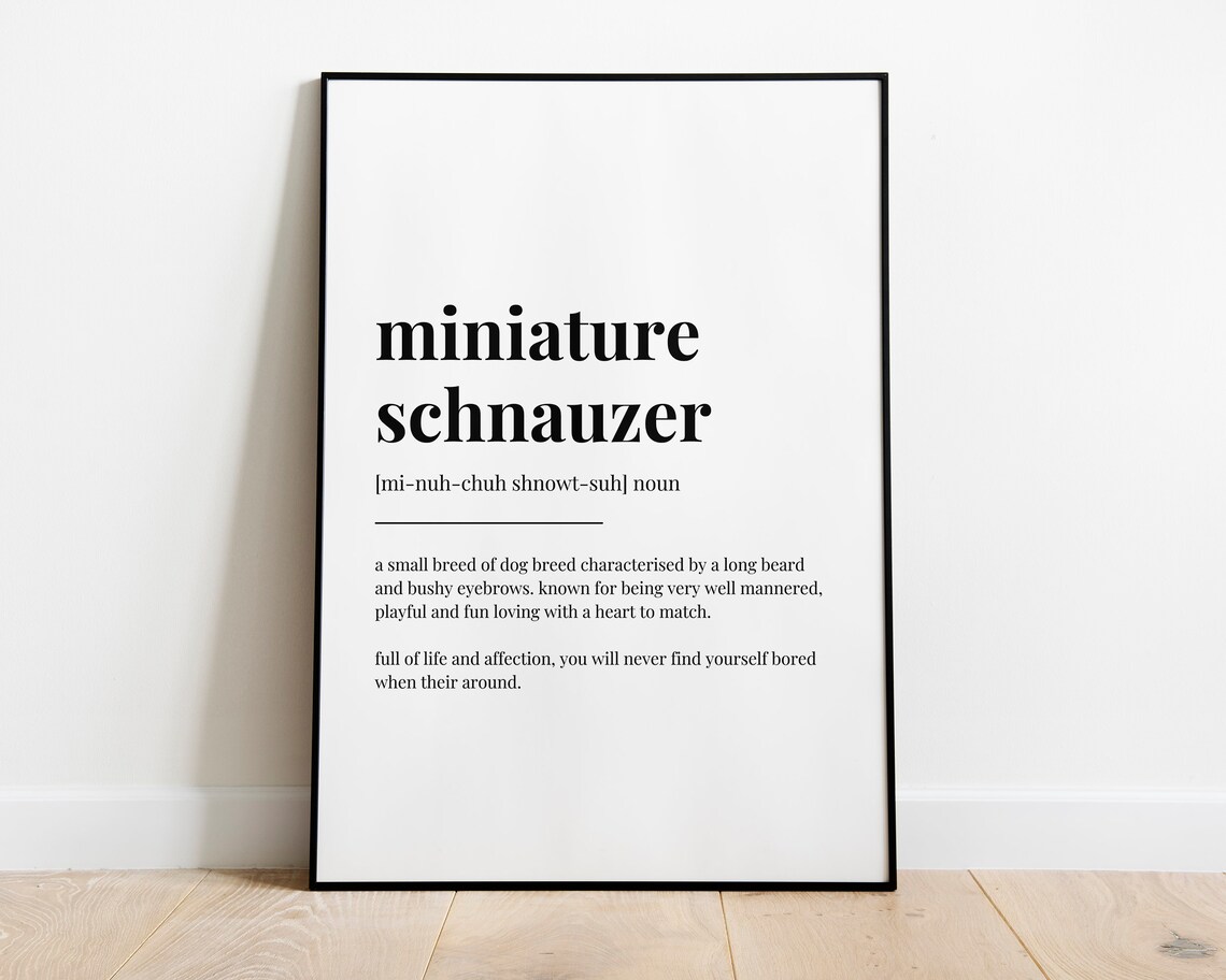 Miniature Schnauzer Definition Meaning Poster - Image 2