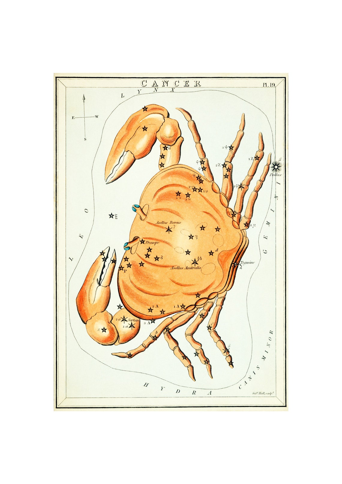 Cancer Constellation Antique Star Chart Poster Zodiac Decor Gift