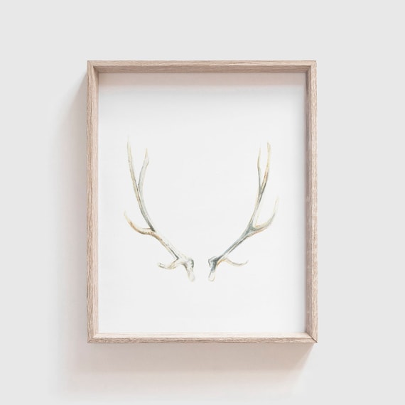Antlers No 2 Watercolor Art Print, Southwestern